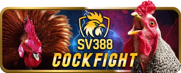 Ưu đãi đăng ký mới